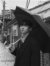 프로필 사진